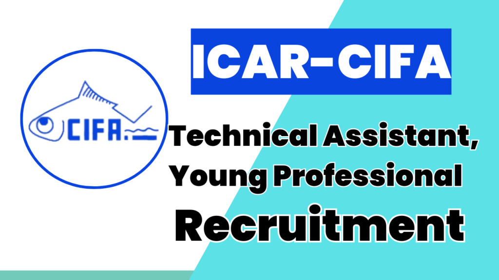 icar cifa recruitment
