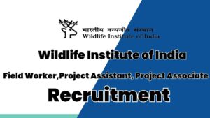 WII Recruitment
